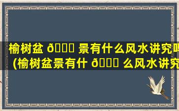 榆树盆 🐅 景有什么风水讲究吗(榆树盆景有什 🐅 么风水讲究吗*
)